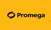 promega